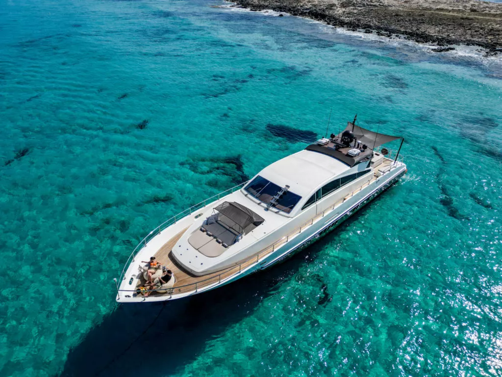 Stylish And Comfortable Leopard 90 2 view 4 — Blackline Management
